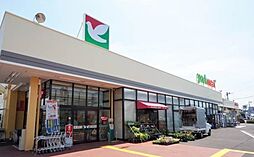 メゾネット成石 101