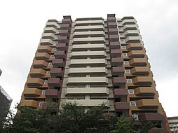 ライオンズマンション桜坂シティ 302