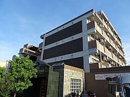 フラットリブ 504