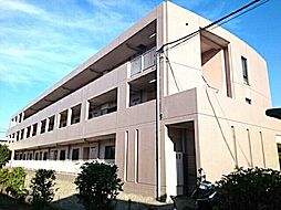 ファインウッド 101