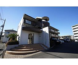 ＧＲＩＤＤＥＲ 203