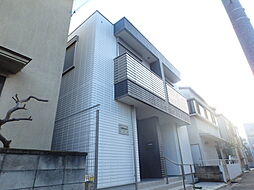 Paulownia（ポローニャ） 102