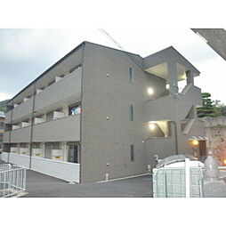 アンプルールフェール樹