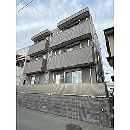 アムールアドニス