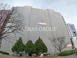 ステラテラス 507