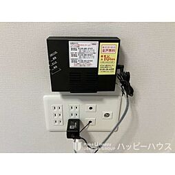 ルーベンス　ローザ　II 103