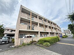 コモドアロッジオ 203