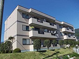 パラシオン・Ｍ