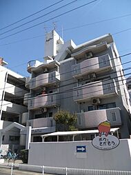 ルノンドプティ 302