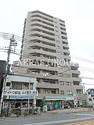 ルピナス本駒込