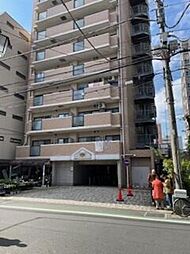 ベルドゥムール草加