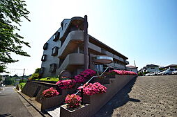 ペイサージュ白鳥 103