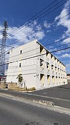 レオネクストコラッジョ