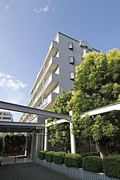 アネックス国領 503