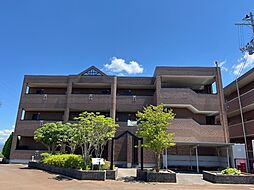 ＳＡＫＵＲＡ 201