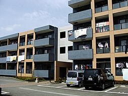 ＨＥＩＺＡＸ 307