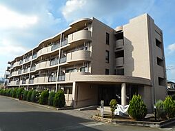 アンソレイエ　アオキ 402