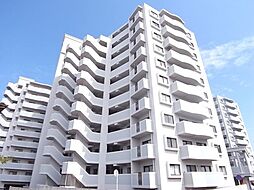 ロマネスク箱崎タワーホームズ　Ｗ棟 403