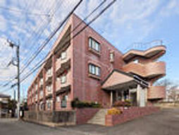 グレースコート