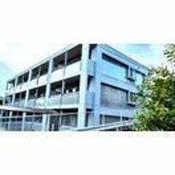 テルージュ菊名II