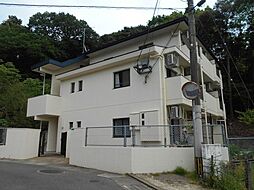 ＦＯＲＥＳＴ　ＤＡＺＡＩＦＵ 3