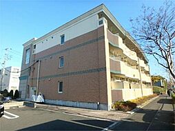 サンリットシーズン 101