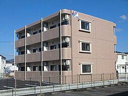 マンション・美 103