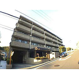 ジュノーヒル 203