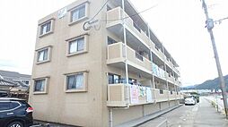 ビナイン中央 202