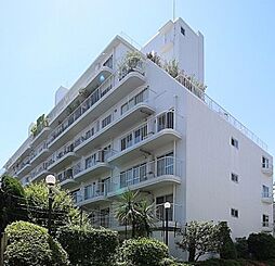 南青山ハウス 206