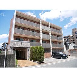 ＣＯＺＹ　ＣＯＵＲＴ 306