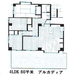 アルカディア