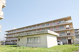 郡山市安積町日出山字一本松