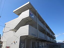 Ｓｕｎ　Ｒｉｓｅ　Ａｖｅｎｕｅ 305