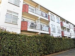 シャトレー新井 206