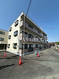 アムールオオカサ