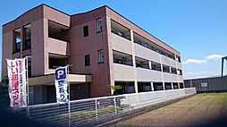 コータ・コートII