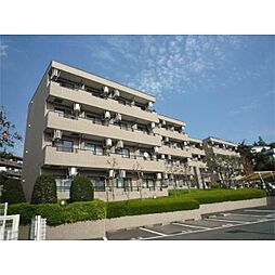 ティアレ宮崎台 216