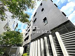 MAXIV王子RICOTT