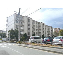 室見団地9棟 304