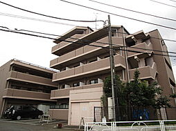 エステルハージー A103