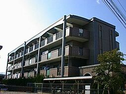 ピア白水ヶ丘 301