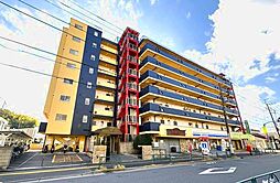 ニューハイム西台 504