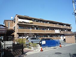 セントラル・コート