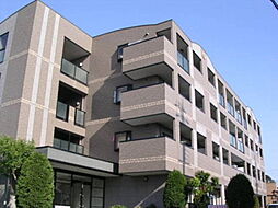 ブランドール板原