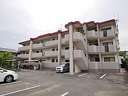 マイアネックス 205