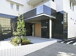 ｒａｐｐｏｒｔ ＭＳ