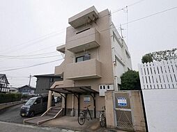プチセントリーフ 302