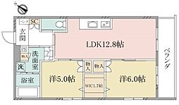 （シニア限定）ヘーベルヴィレッジ武蔵新田 302