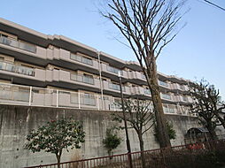 川崎市麻生区細山６丁目